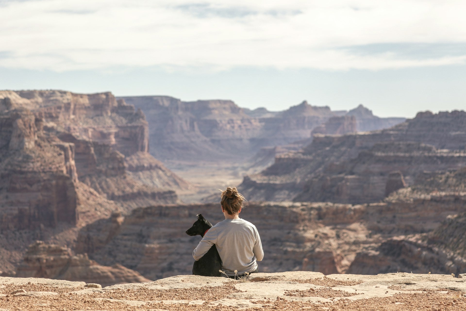 Dog Friendly Camping: 9 Essential Tips for Your First Trip
