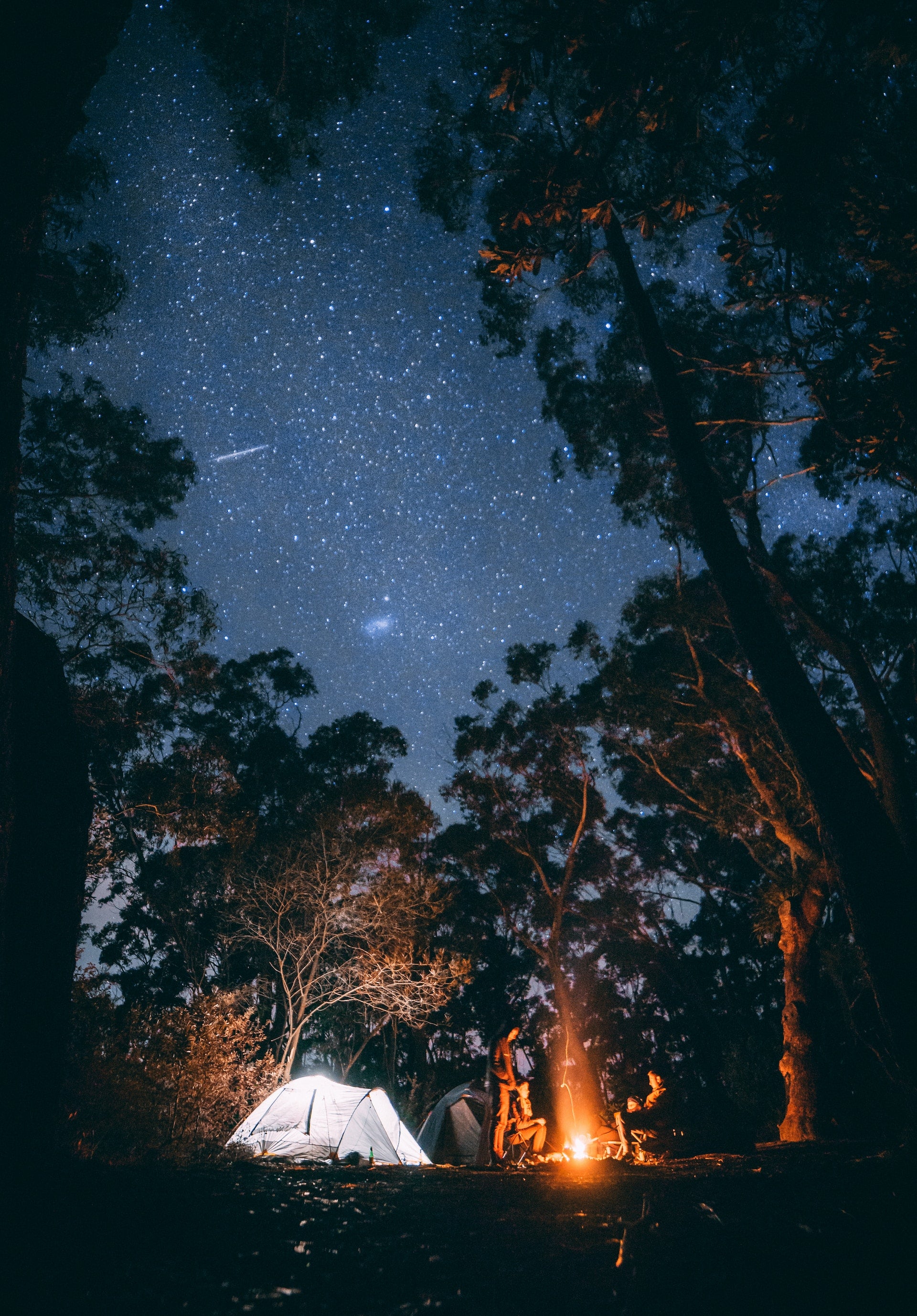 Gluten-Free Camping: Easy and Tasty Meal Ideas