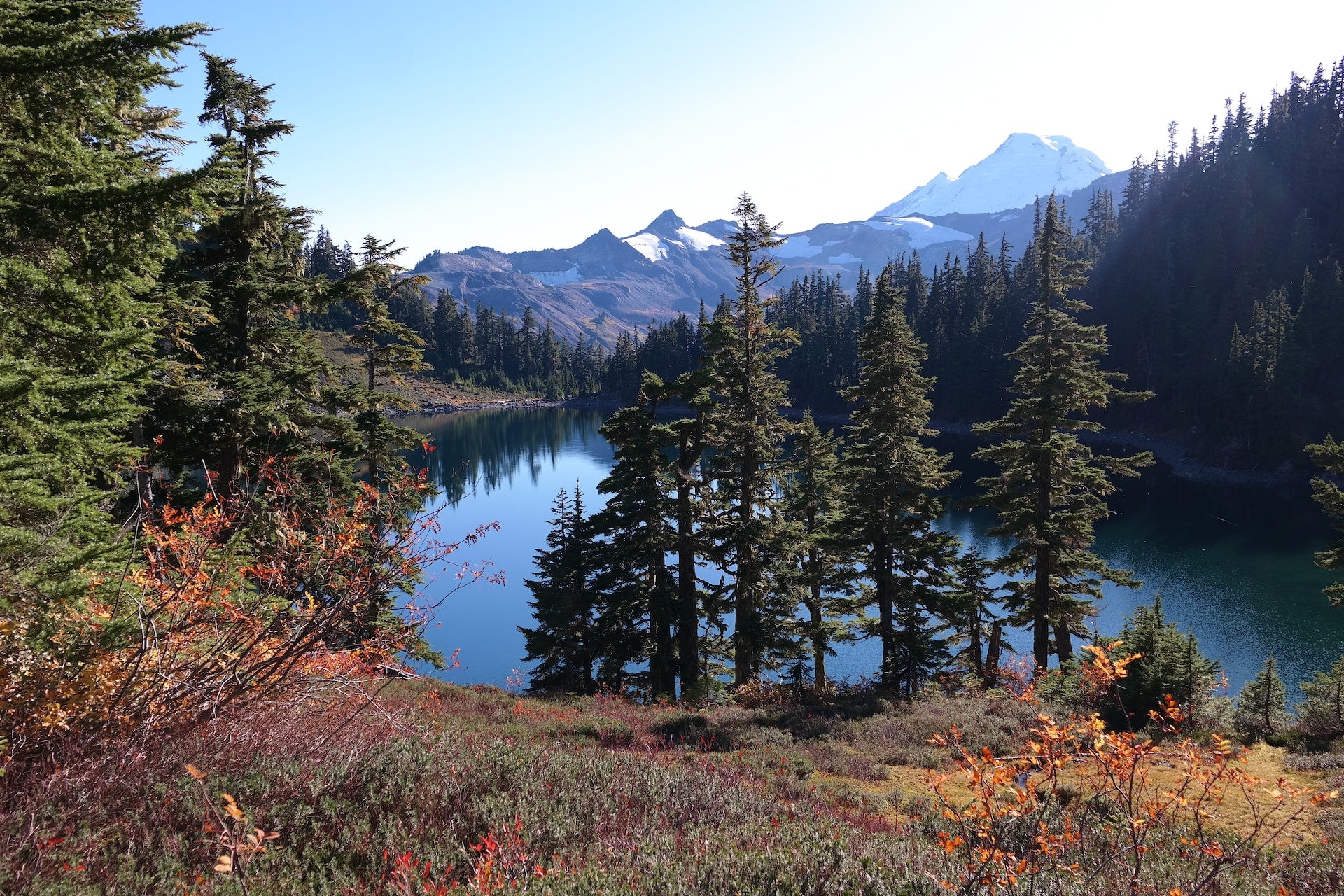 Wilderness Encounters: Survival Tips in the Wilderness for Your Maiden Voyage